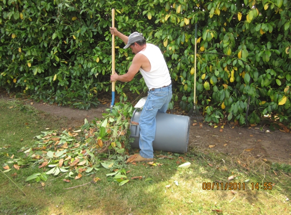 YARD CLEAN UP DOS AMIGOS - Seattle, WA