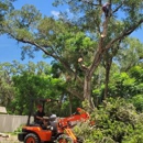 Tree Care America - Tree Service