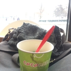 Cocomero Frozen Yogurt