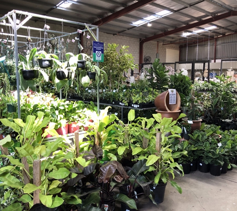 Wholesale Plants & Products Pty Ltd - Dry Creek, SA