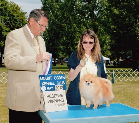 Salina Pet Parlor - salina, UT