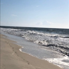 Beach Weddings Alabama