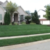 Picasso Lawn and Landscaping gallery