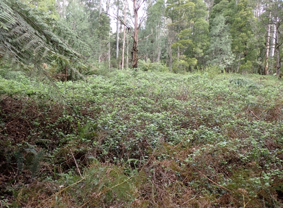 Acres land Management Services - Warragul, VIC