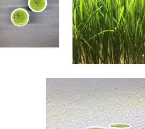 Hippocrates Lifestyle Online Programs - West Palm Beach, FL. wheatgrass shot