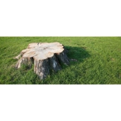 Gallery Image Number 2