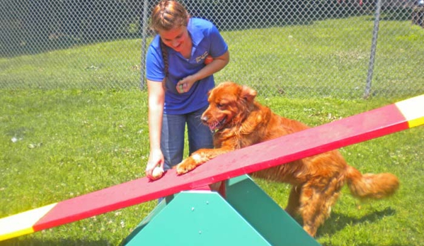 Pine Creek Kennels Pet Resort - Benton, PA