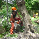 Chop Chop Tree - Tree Service