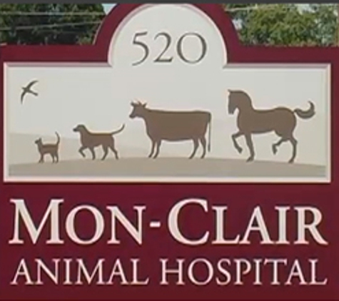 Mon -Clair Animal Hospital - Millstadt, IL