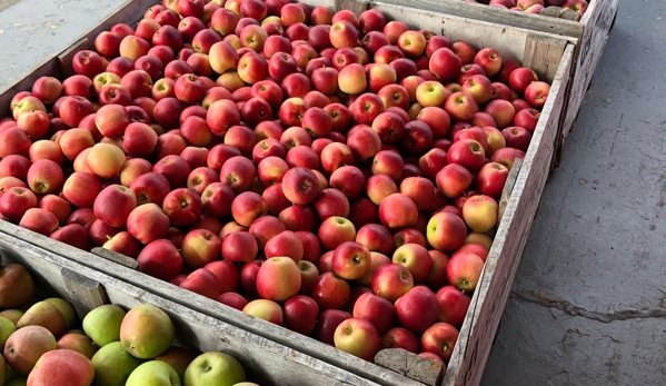 Orbaker's Farm Market - Williamson, NY