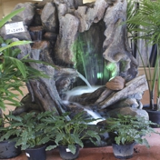 Gallery Image Number 1