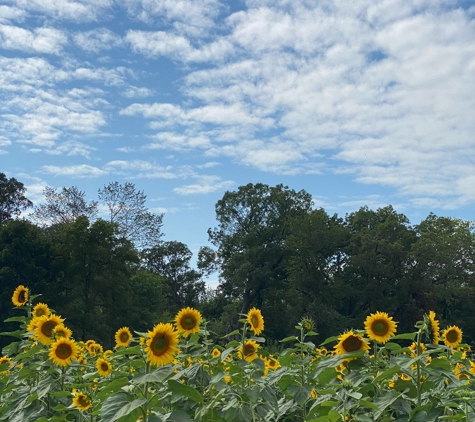 Center Grove Orchard - Cambridge, IA