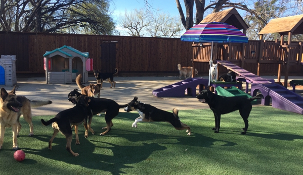 Benny's Dog Resort - Carrollton, TX. So much room to run and play