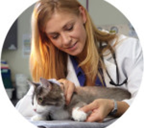 Oregon Veterinary Referral Associates - Springfield, OR