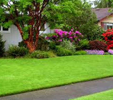 American Lawn & Sod - Pinellas Park, FL