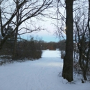 Elver Park Rink - Ice Skating Rinks