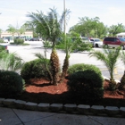 Step by Step Landscape Management Inc