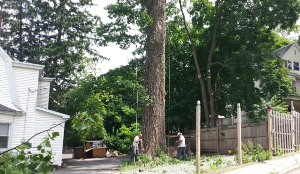 Jersey Garden Tree Service - Bloomfield, NJ