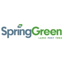 Spring - Green Lawn Care - Weed Control Service