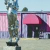 The Pony gallery