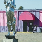 The Pony