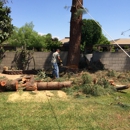 Izz'y Tree Trimming and Removal - Tree Service