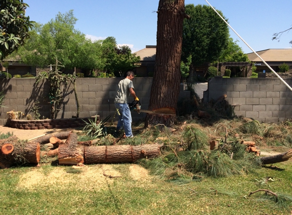 Izz'y Tree Trimming and Removal - Fresno, CA