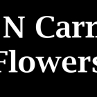 What N Carnation Flowers