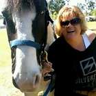 Scott Weidner's Farrier Svc