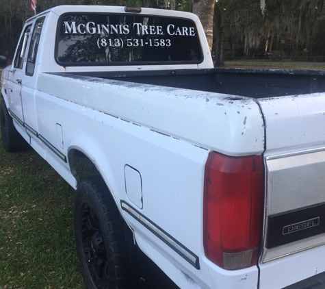 Matt McGinnis Tree Care - Saint Petersburg, FL