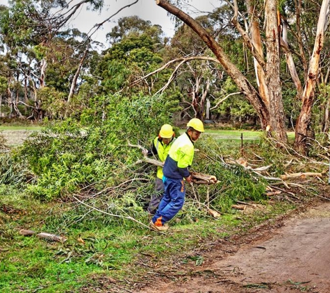 Lindbergh's Tree Service Greensboro - Greensboro, NC