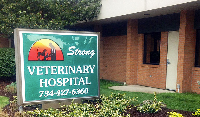 Strong Veterinary Hospital 29212 5 Mile Rd Livonia Mi 48154 Yp Com