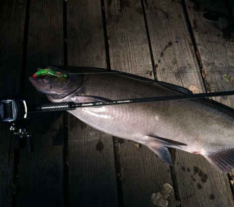 Peard Fishing - Anderson, CA