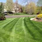 Lawn Barbers