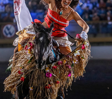 Schwartzenberger Equine - Longmont, CO