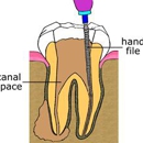 Fuller, Noel P, DDS - Dentists