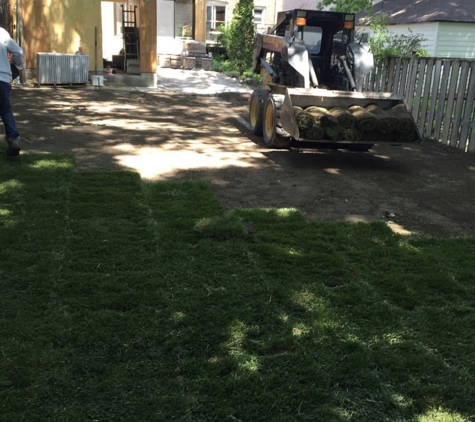 Adolfo Tree Service - Houston, TX. Grass installing in Houston Texas top rated service