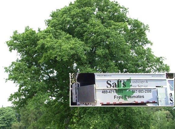 Sal's Landscape & Tree Service - Irving, TX