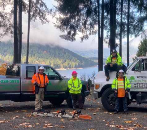 Luisiana Tree Services LLC - Shelton, WA