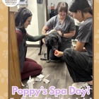 Associated Veterinary Medical Center
