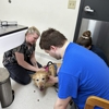 State College Veterinary Hospital gallery