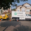 Forest Tree Services Forest Tree Services - Tree Service