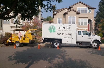 Forest Tree Services Forest Tree Services 1707 Hearn Ave Santa Rosa Ca 95407 Yp Com