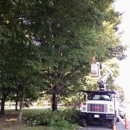 Marshall's Tree Service LLC - Tree Service