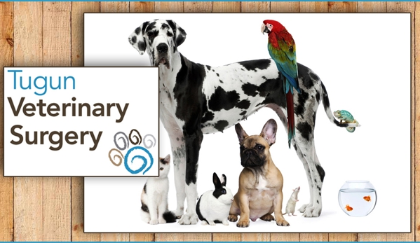 Tugun Veterinary Surgery - Tugun, QLD. We Also Provide Pet Food And Supplies