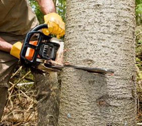 Larry's Tree Care - Stockton, CA