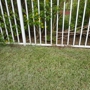 Palm Beach-Broward Landscaping