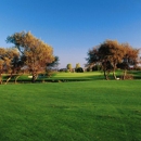 Rooster Run Golf Club - Golf Courses