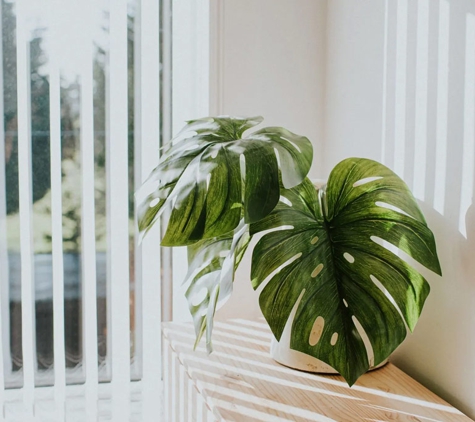 SunSolutions Home Improvement