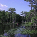 Caddo Lake State Park - State Parks